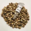 AK 47 Autoflowering Weed Seeds