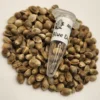 Blue Dream Cannabis Seeds Australia