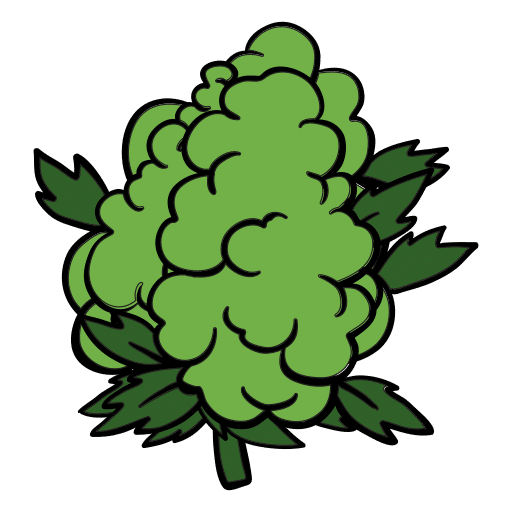Aussie Hemp Seeds