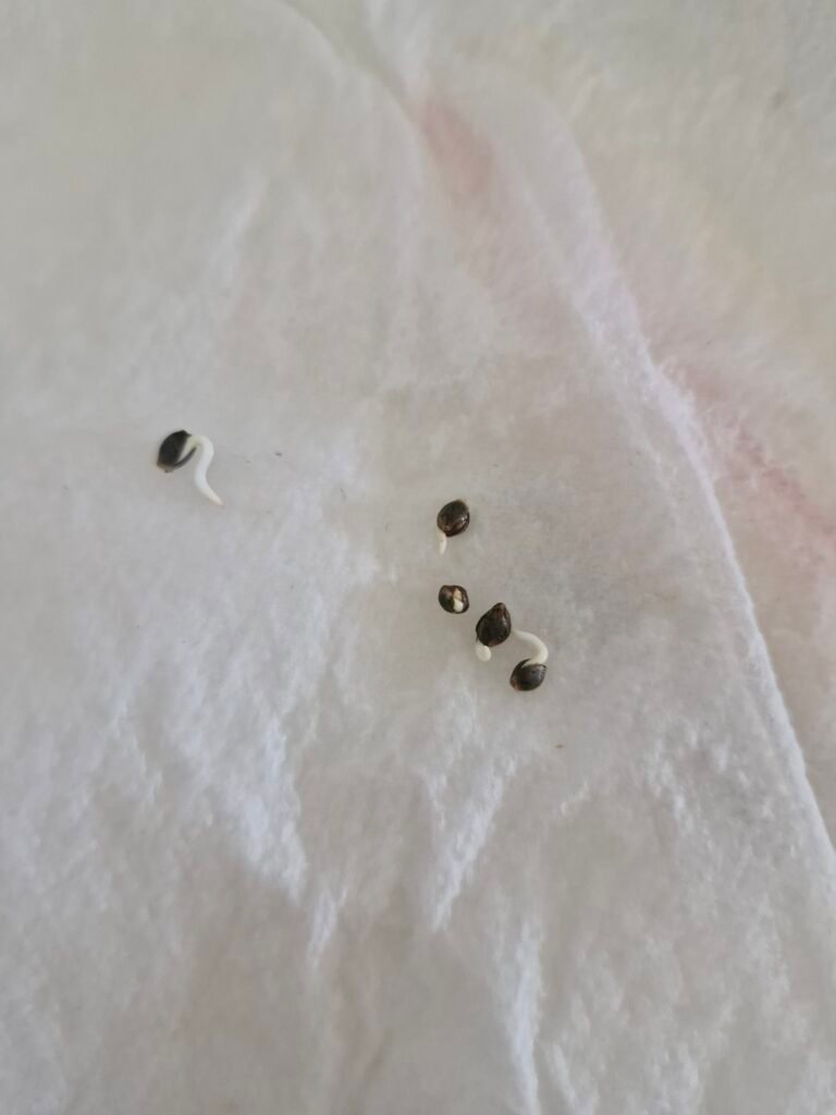 Image #1 from Anonymous