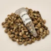 5 Alive Cannabis Seeds Australia