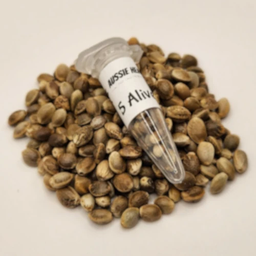 5 Alive Cannabis Seeds Australia