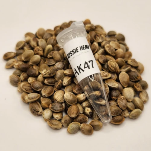 AK47 Cannabis seeds Australia