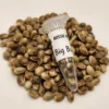 Big Bud Cannabis seeds Australia