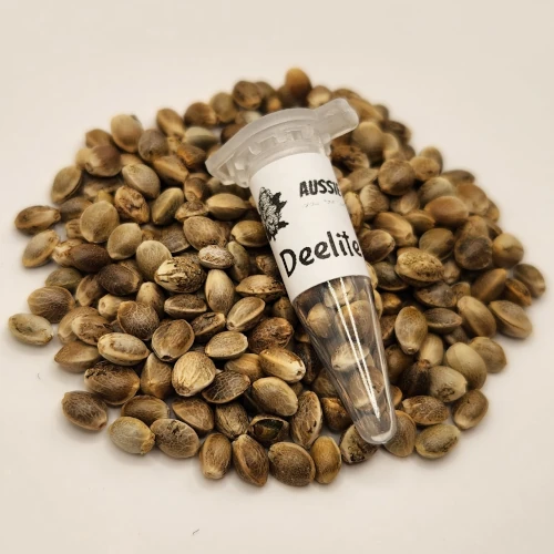 DEelite Autoflowering cannabis seeds Australia