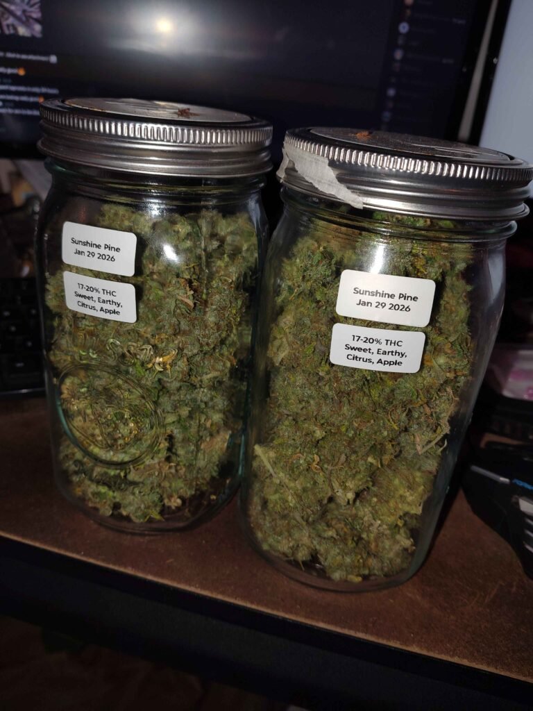 Image #1 from Menzy Dylarno