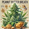 Peanut Butter Breah Cannabis Seeds Australia