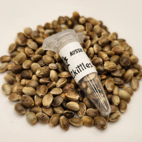 Zkittles autoflowering cannabis seeds australia