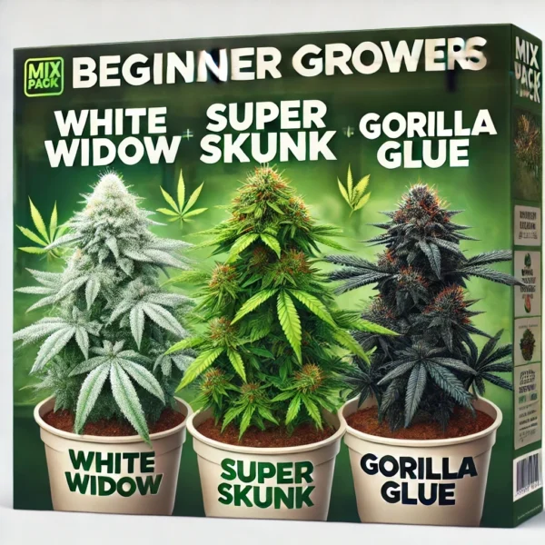 Seeds for beginner cannabis growers Australia