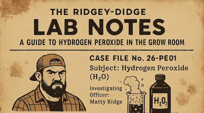 Digital illustration styled as a vintage detective case file, featuring Matty Ridge investigating hydrogen peroxide use in cannabis cultivation. Case notes, lab tools, and a ruined flanno on the desk complete the scene.