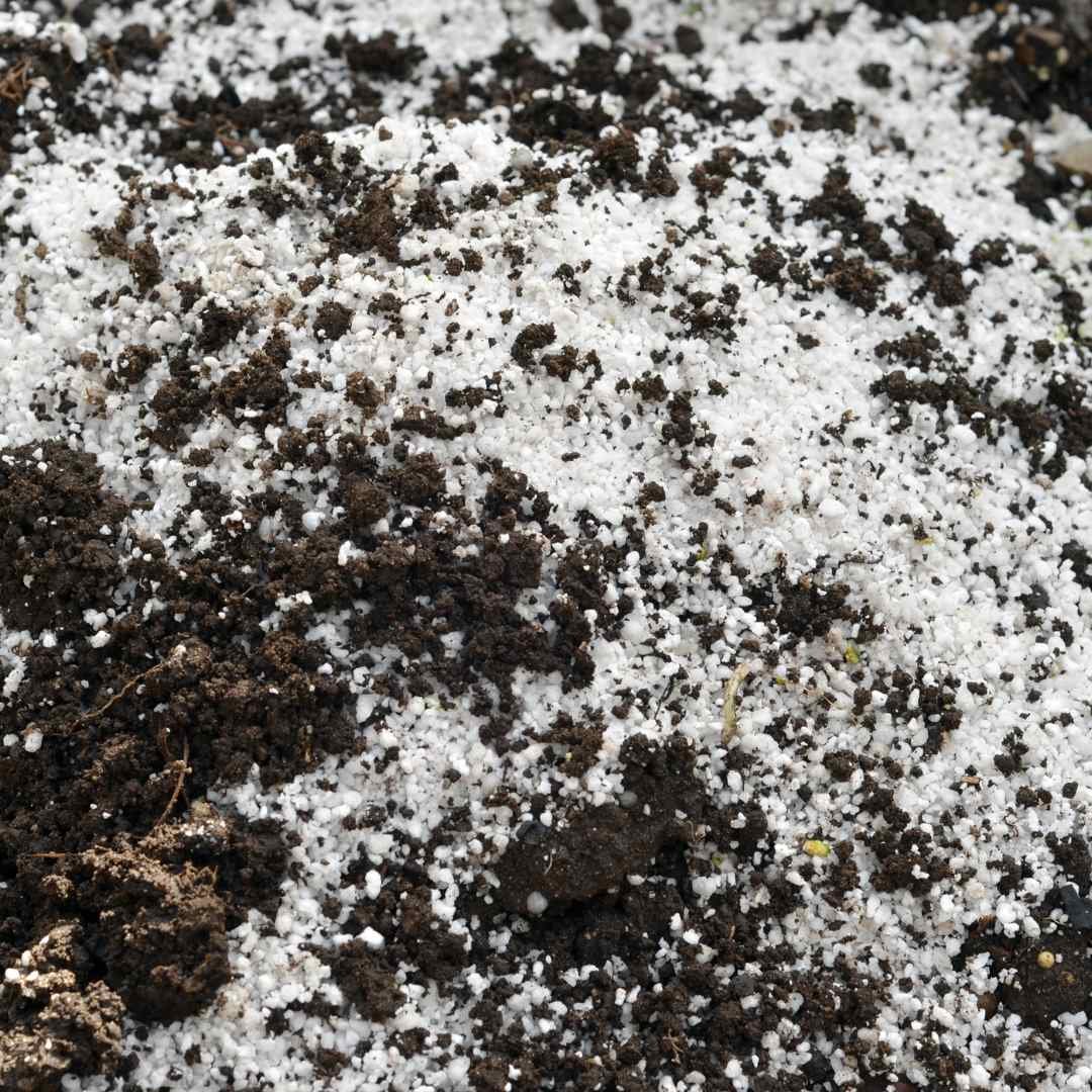 Mixing soil with perlite for cannabis cultivation