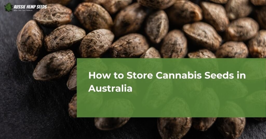 how to store cannabis seeds