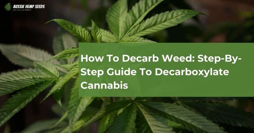 How To Decarb Weed: Step-By-Step Guide To Decarboxylate Cannabis