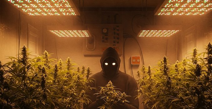 The Ultimate Stealth Cannabis Guide