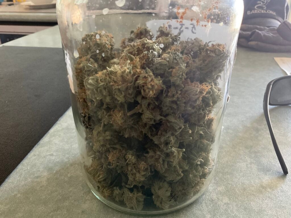 Image #1 from Anthony