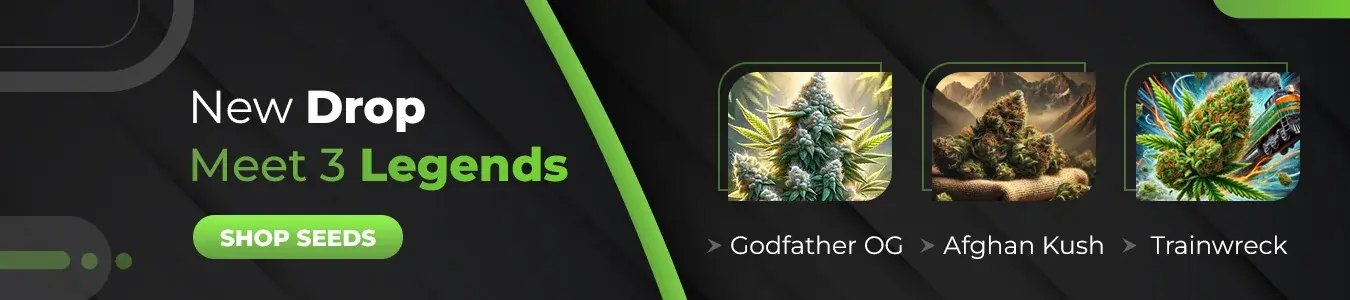 New drop: meet 3 legendary strains
