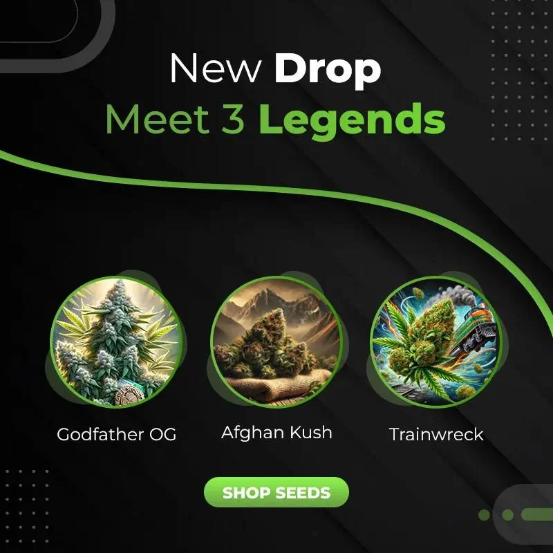 New drop: meet 3 legendary strains