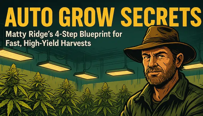 Auto Grow Secrets banner showing a glowing autoflower cannabis plant with icons of stopwatch, pot, nutrient droplet, and tie-down wire symbolising Matty Ridge’s 4-step blueprint for fast, high-yield harvests